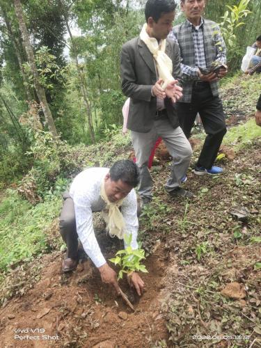 Tree plantation at NCDC head office land in world environment day (1)